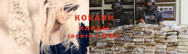 кокс Алзамай