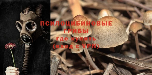 Альфа ПВП Алексин