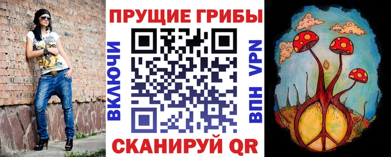 нарко площадка как зайти  Каневская  Псилоцибиновые грибы ЛСД 